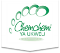 Chemchemi ya Ukweli